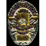SANTA ANA, CA POLICE DEPARMENT BADGE PIN